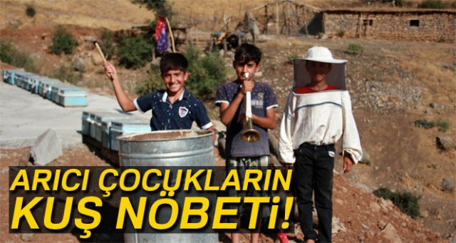 Arıcı çocukların borazan ve tenekeli kuş nöbeti