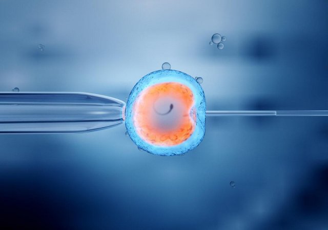 Kıbrıs Tüp Bebek Gelişmelerinden Çiftler Faydalanabiliyor 