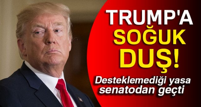 Trump'ın desteklemediği yasa senatodan geçti
